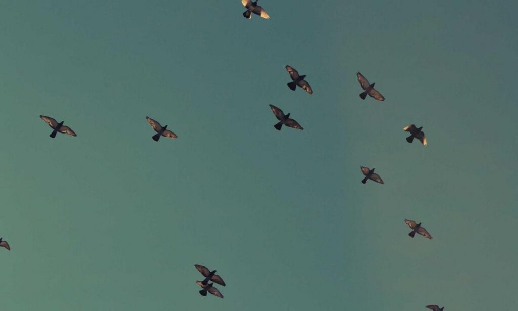 Sensory Synchronization